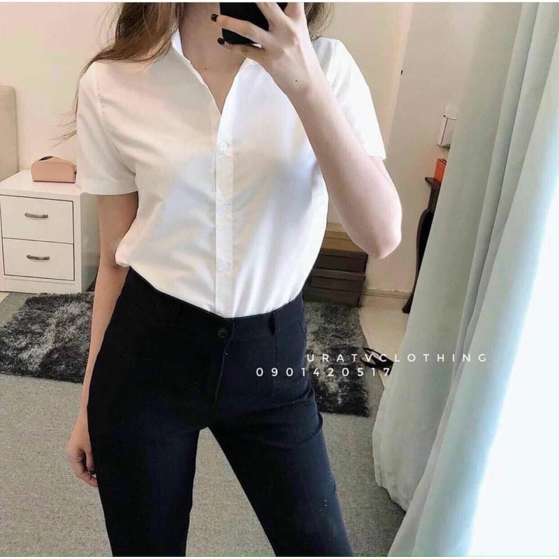 Áo sơ mi trắng dài tay và cộc tay
