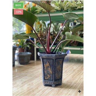 Khuôn đúc chậu ống 33