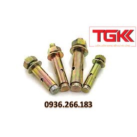 Bulong nở sắt M12