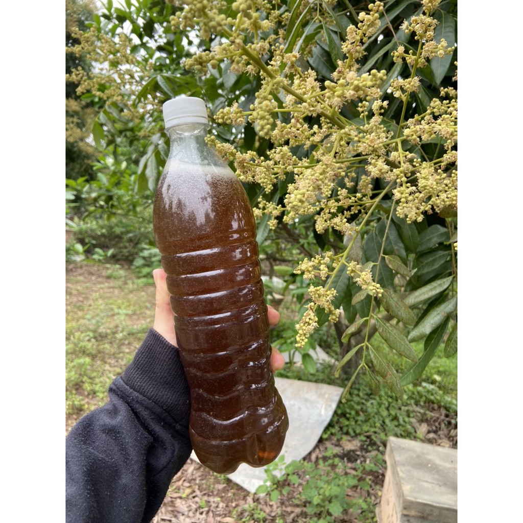 MẬT ONG HOA NHÃN 100%  NGUYÊN CHẤT CHƯƠNG MỸ HÀ NỘI CHAI 1 LIT