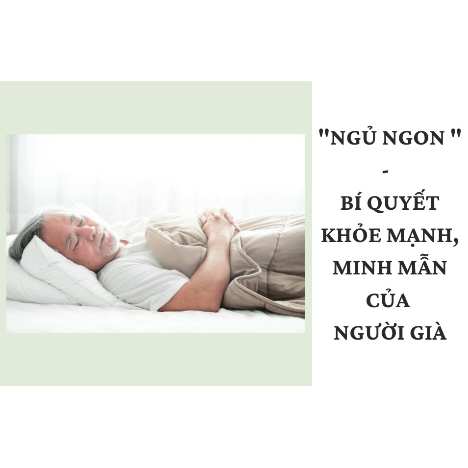 Nụ hoa tam thất Thông Cát- phương pháp an toàn cho giấc ngủ