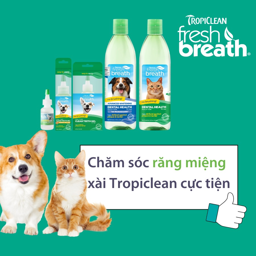 Nước súc miệng cho mèo Tropiclean 473ml, vệ sinh chăm sóc răng miệng mảng bám hôi miệng Con Mèo Xiêm