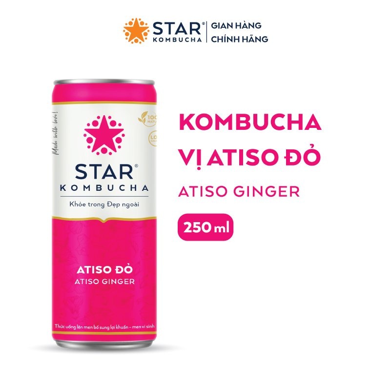 Combo 2 thùng 12 lon trà STAR KOMBUCHA mix vị  (250ml/lon) - Trà lên men vi sinh chứa probiotics