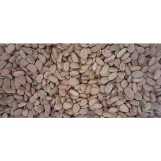 700gram hạt keo gai giống
