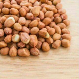 Sỉ như lẻ lạc trắng 500g - 1kg