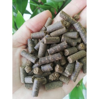 Phân bón hữu cơ Bánh dầu neem