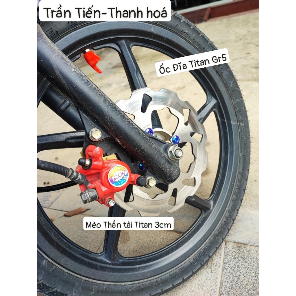 Tem Titan mèo thần tài gắn trang trí oto xe máy