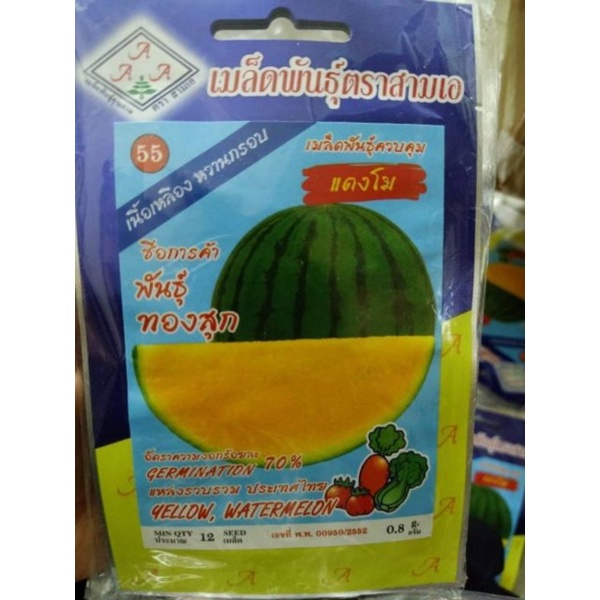 HẠT GIỐNG DƯA HẤU KHÔNG HẠT RUỘT CAM TRÒN F1 NK THÁI LAN