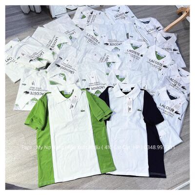Áo thun polo cổ bẻ cá sấu LC