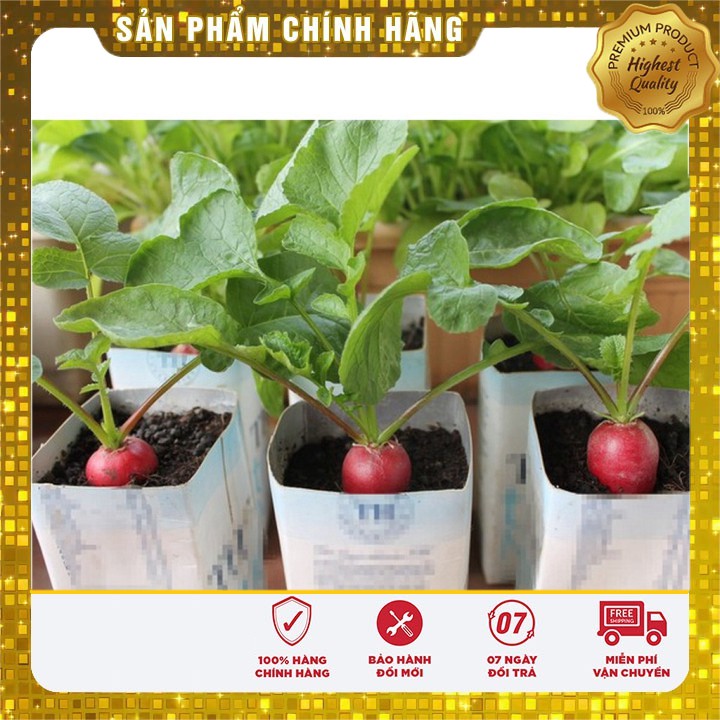 Hạt Giống Củ Cải mini dễ trồng dễ chăm sóc nhanh thu hoạch ( gói 5 gram)