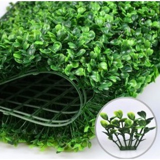 Vỉ cỏ nhựa. tấm cỏ nhựa xà lách xoong 247, 308 - thảm cỏ nhân tạo làm tường trang trí