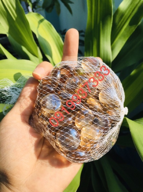 Sỏi thuỷ tinh màu trang trí ( 1 bịch 300gr nhiều màu)