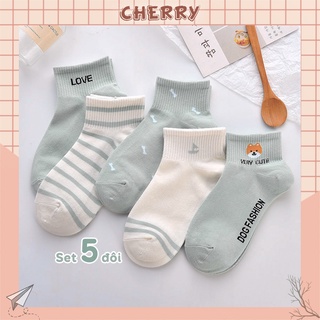 Tất nữ vớ nữ cổ ngắn set 5 đôi họa tiết dễ thương cute Hàn Quốc