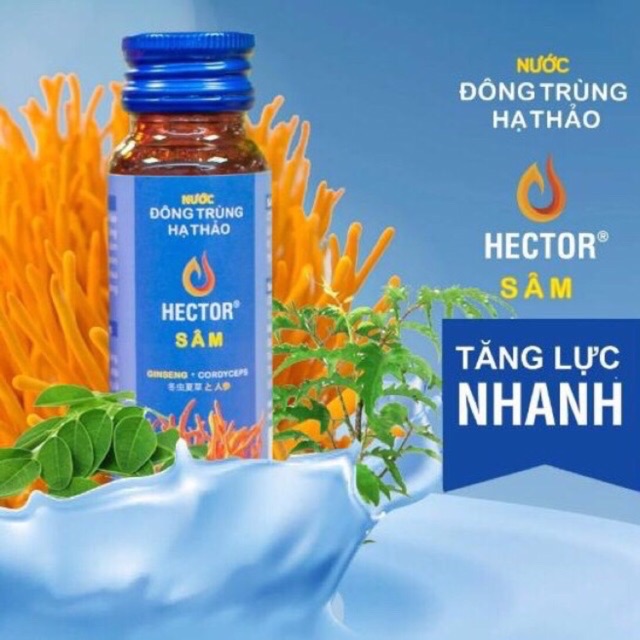 [Chính Hãng] 01 Hộp Nước Đông Trùng Hạ Thảo Hector Sâm của Công Tỷ TNHH LAVITE (Hộp 10 Chai) | BigBuy360 - bigbuy360.vn