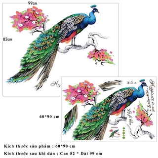 Decal chim công SK9153