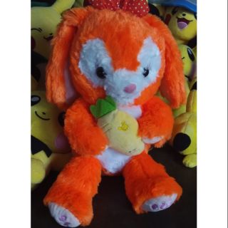 Gấu my nguyễn