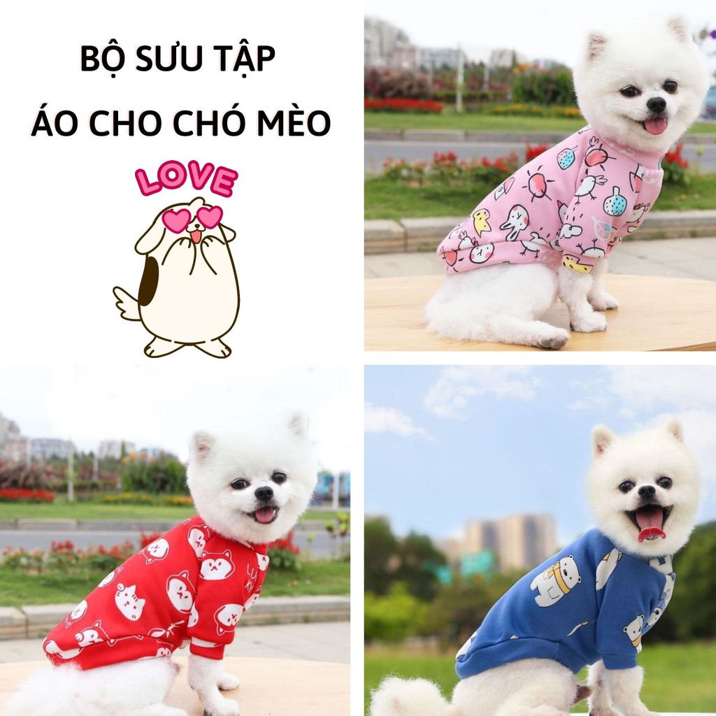 Áo nỉ thời trang sang xịn ấm áp cho chó mèo