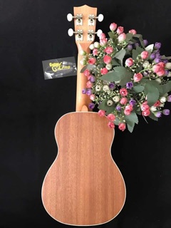 Đàn ukulele soprano VT-550