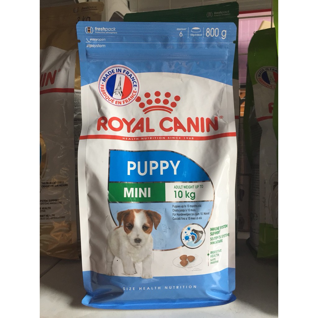 Hạt Royal Canin Mini Puppy cho các dòng chó size nhỏ dưới 10 tháng 800g, thức ăn cho chó nhỏ, chó con