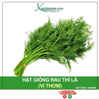 Hạt Giống Rau Thì Là Phú Nông Gói 5 Gram