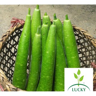 2g hạt giống bầu sao trái dài thanhhuong