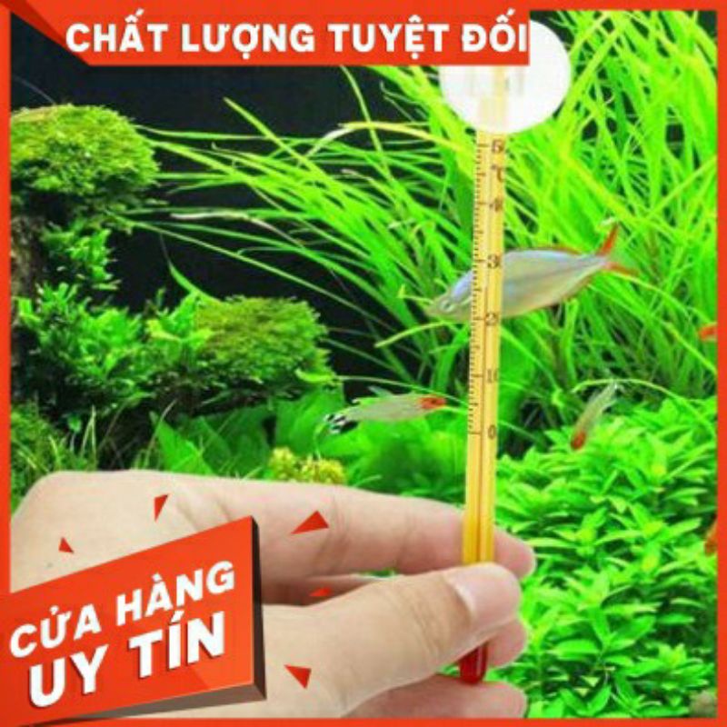 NHIỆT KẾ THỦY NGÂN CHO HỒ CÁ CẢNH, ĐO NHIỆT ĐỘ HỒ CHÍNH XÁC -MILO GUPPY