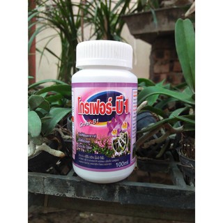 Bán PHÂN BÓN B1 THÁI LAN GROFER 100ML hàng nhập, phân phối trong nước bởi thietbinhavuon.