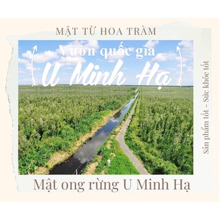 Mật ong rừng U Minh Hạ 500ml