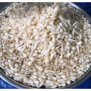 CỦ KIỆU ĐƯỜNG 95K/800G