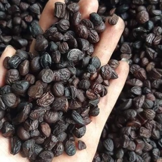 50 Hạt dổi nếp bí quyết của các món ăn ngon