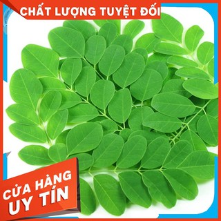 2g Hạt Giống Cây Chùm Ngây (Moringa oleifera)