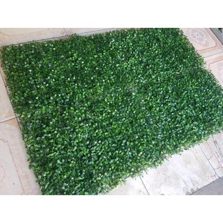 THẢM CỎ NHỰA PVC LÁ CẢI XOONG TRANG TRÍ