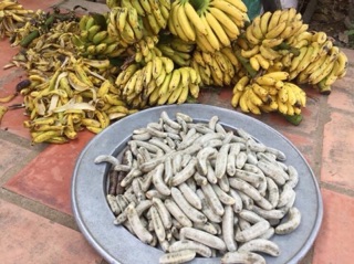 CHUỐI HỘT KHÔ