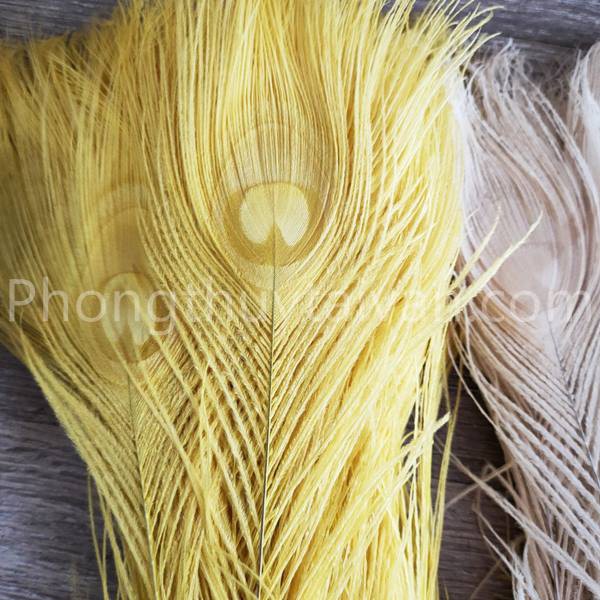Lông Công Màu TRẮNG,VÀNG, XANH♈ trang trí 30cm-lông Khổng tước chiêu tài,trang trí