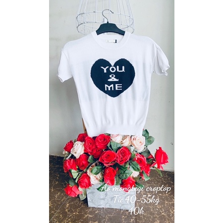 Áo mongtegi dáng croptop