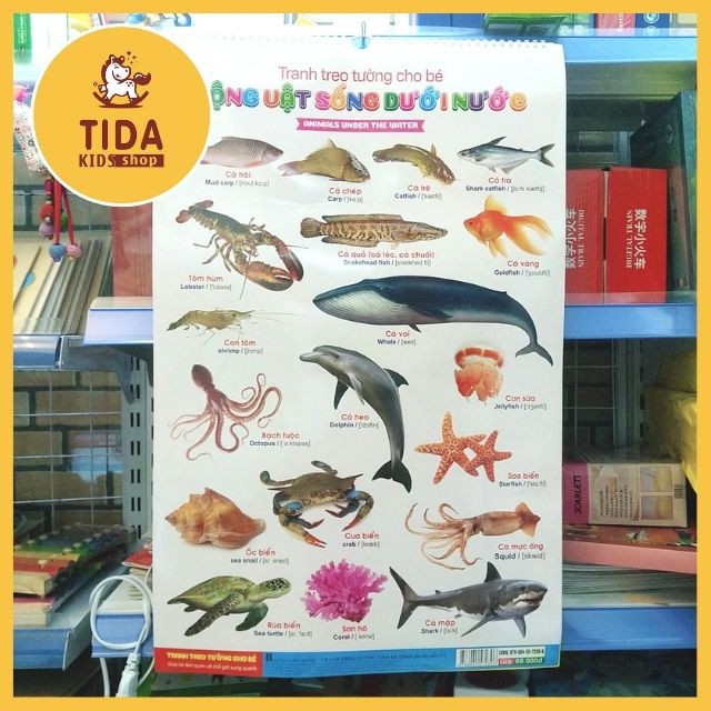 Tranh Treo Tường 14 Chủ Đề Cho Bé Học Số Đếm, Chữ Cái, Hình Con Vật, Hoa Quả, Xe Cộ Đồ Chơi Giáo Dục TiDa Kids Shop