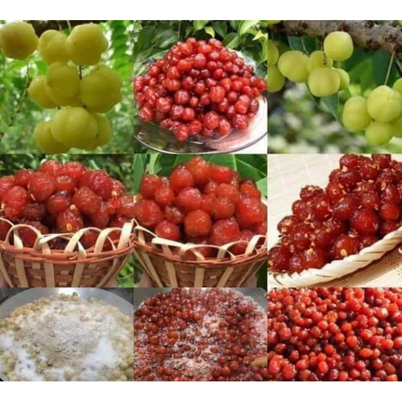 Chùm ruột chua ngọt nhà làm