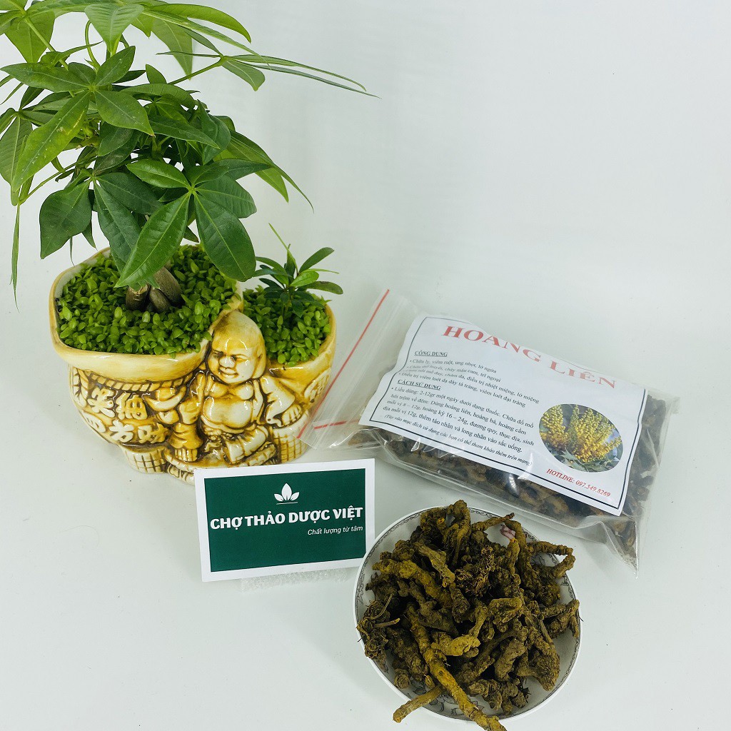 Hoàng liên bắc 100g - Chợ Thảo Dược Việt