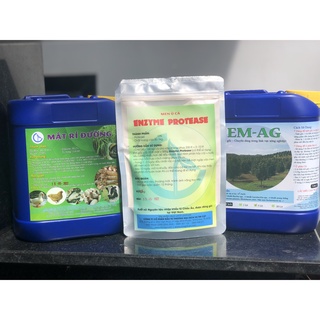 Combo Vi Sinh Ủ Phân Cá Dùng Cho Cây Trồng (Gồm 5 lít EM Gốc + 5 lít Mật Rỉ Đường + 0.5kg Men Ủ Phân Cá Protease)