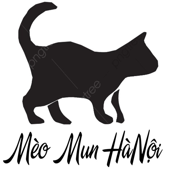 Mèo Mun Hà Nội