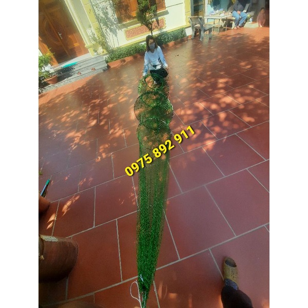 Đuôi dớn , đăng chặn sông , cống mương suối