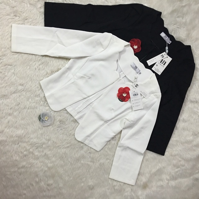 Bán Sỉ Áo Vest lửng cổ lượn sóng thời trang AV31(video+ảnh thật) | BigBuy360 - bigbuy360.vn