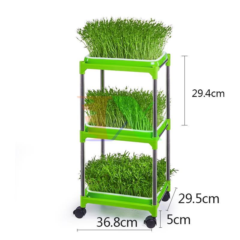 Combo Khay trồng Rau mầm Thủy canh 2 Lớp CKM, Kèm Hạt giống, Bình xịt