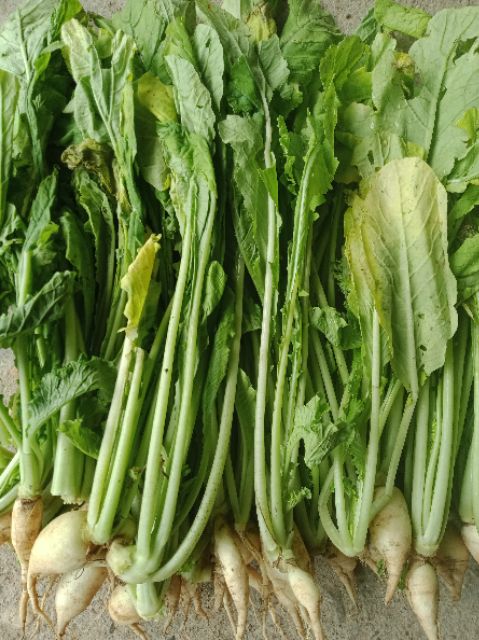 hạt rau lú vú thơm ngon non nuộc già muối dưa gói 50g