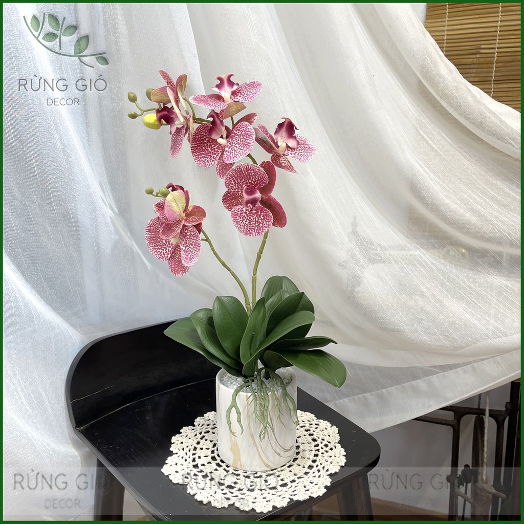 Set chậu Hoa Lan Hồ Điệp 2 NHÁNH SIZE TO , cao 47cm, cành nhân tạo trang trí, mã set13