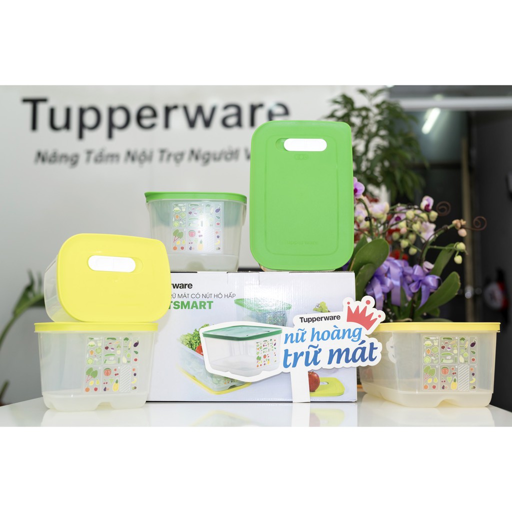 TUPPERWARE - NỮ HOÀNG TRỮ MÁT VENTSMART 5