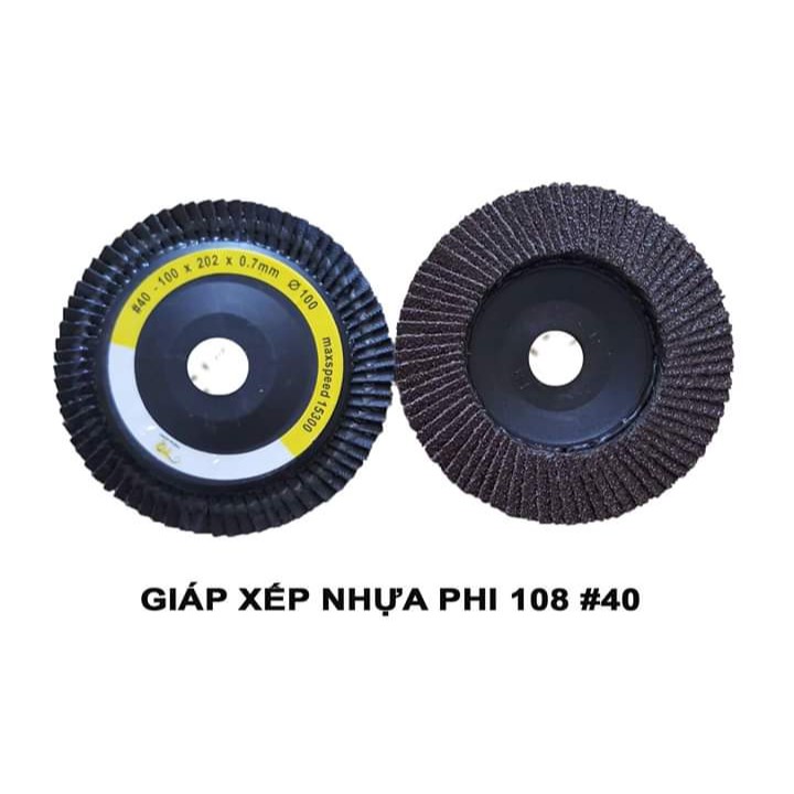 Giáp xếp lưới/ Nhám xếp