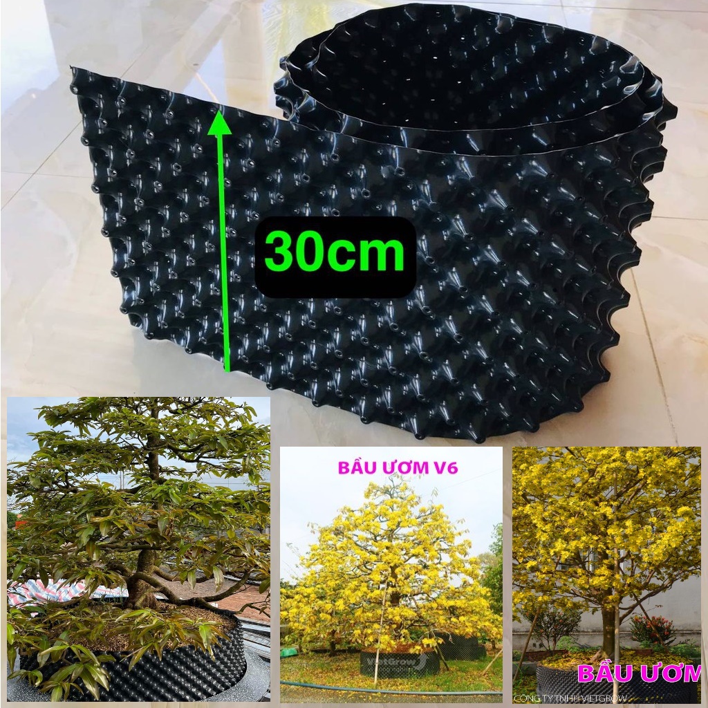 BẦU ƯƠM V6 20CM, 30CM, 40CM, 50CM. LOẠI DÀY 0,6MM. HÀNG CHUẨN VIETGROW. TẶNG KÈM 1 GÓI SIÊU DƯỠNG CÂY