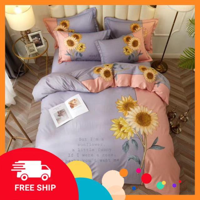 (SALE HỦY DIỆT) Set 4 Món Chăn Ga Gối Cotton Organic,Cotton 100%, Cotton Living