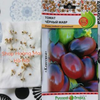 HẠT GIỐNG CÀ CHUA NHÓT SOCOLA